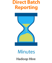 Direct Batch Reporting