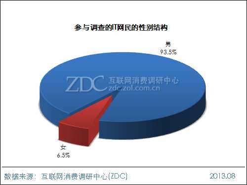 2013年中国IT网民手机拍照行为调查报告 