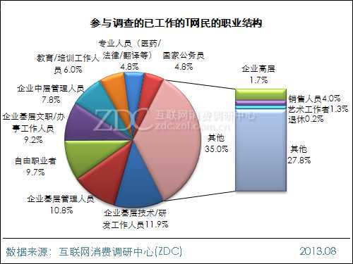 2013年中国IT网民手机拍照行为调查报告 