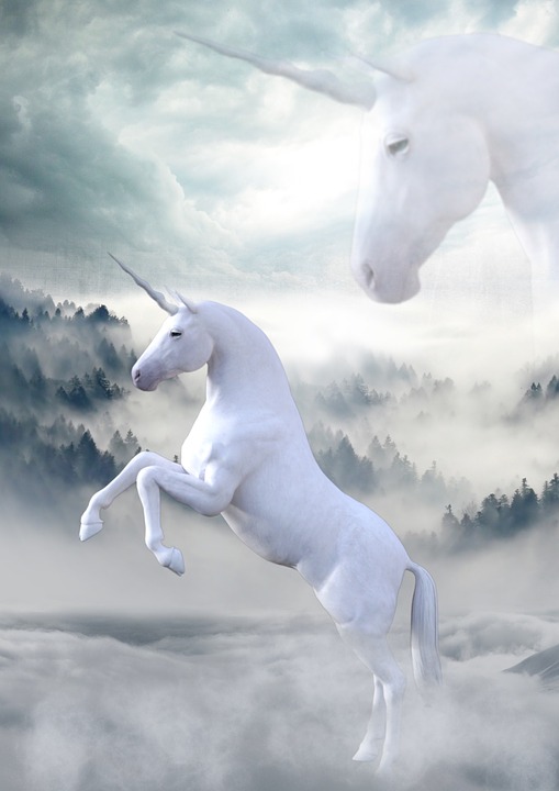 unicorn-1737897_960_720.jpg