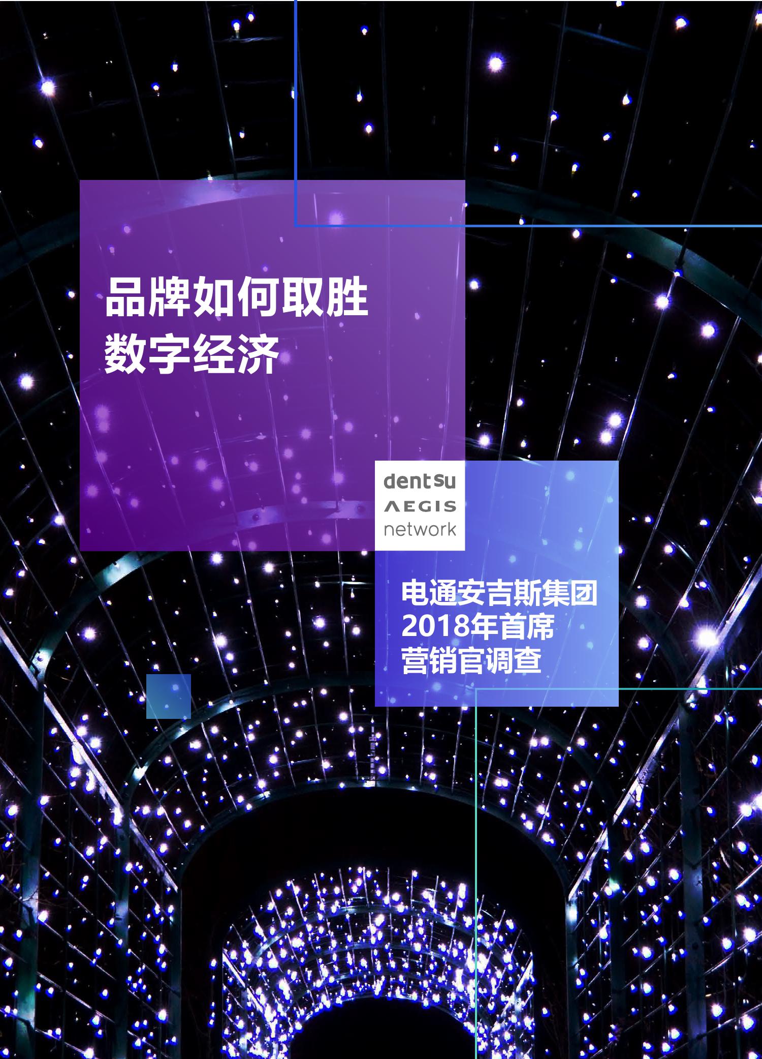 2018年首席营销官调查_000001.jpg