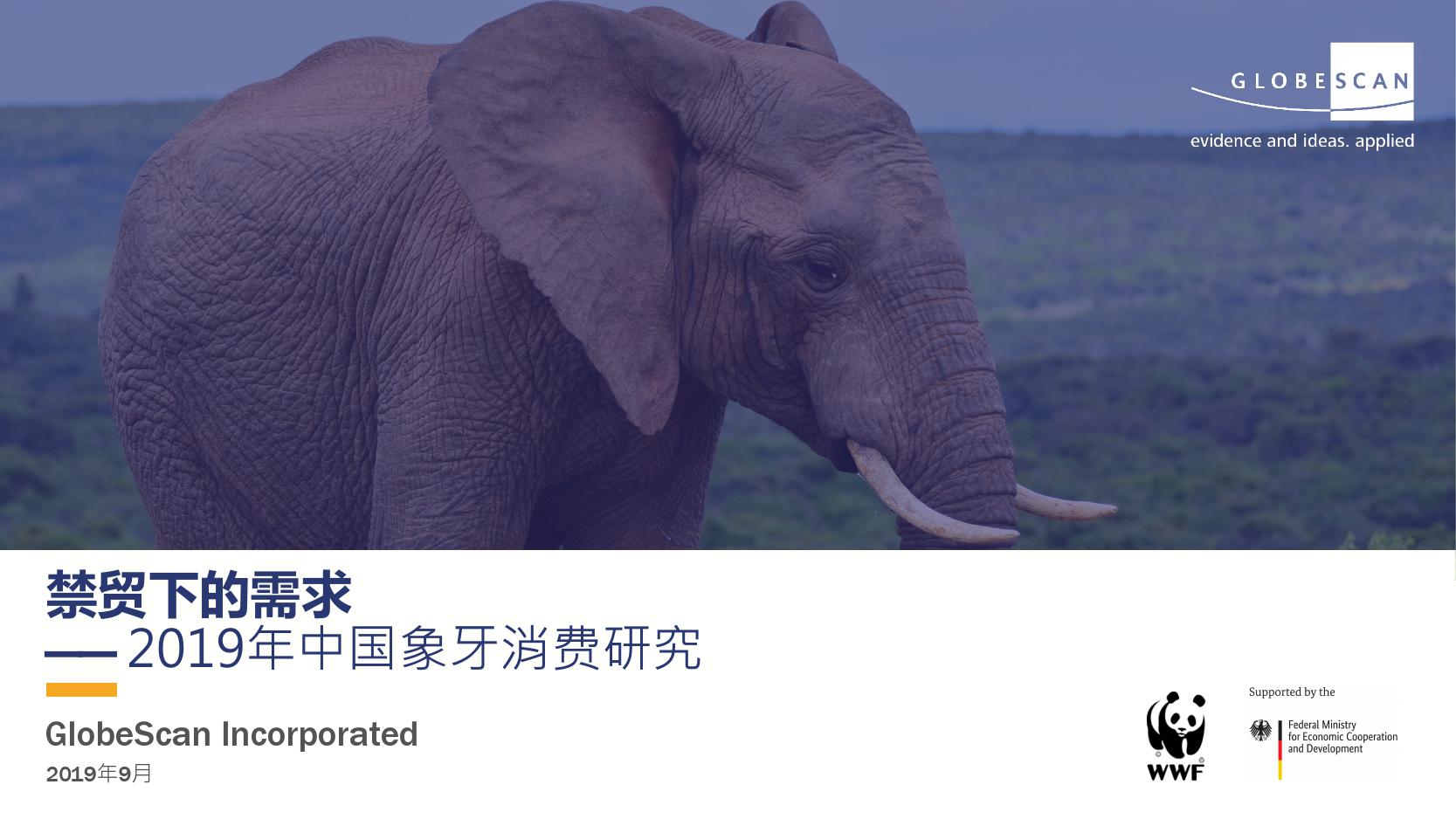 2019年中国象牙消费研究_000001.jpg