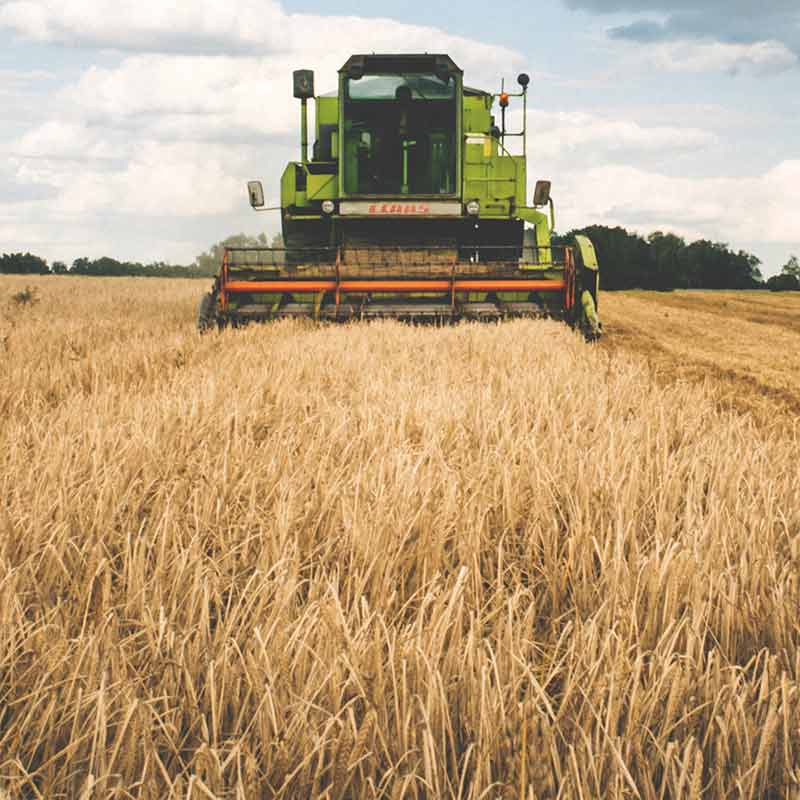 sustainable-agriculture-46.jpeg