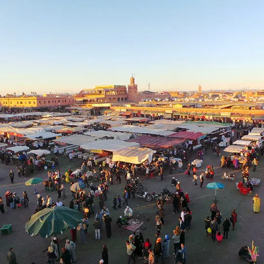 High-angle-view-of-people-walkin.png