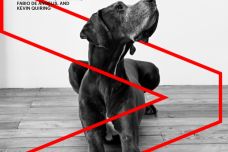 0223204020623Accenture-Strategy-GCPR-Customer-Loyalty_PoV_1.jpeg