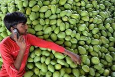 1457446285-7756-1-anindianfarm.jpg