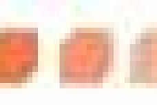 1465231829-8232-YX4iaI2joTl9eKnJW0BkkbpJ7SaQ.jpg