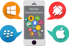 1467502282-7127-bile-Application-Development.png