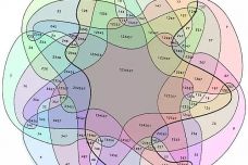 1476115270-7258-94de80684e441964263a1f.jpg