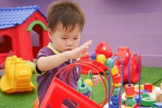 1509346524517_playtoy_482072.jpg