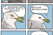 1645449608-5978-jG9fKqRhRCVxBzPrRk458gZVbPQw.png