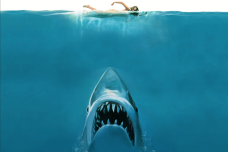 1662548047-4325-7dfe46b2a4bc15a.png