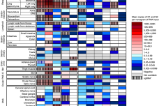 1672727175-3200-BID5V6GDeI45GoQOVg3rib3cqn1g.png