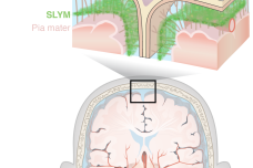 1673364336-9869-qYwdOODQNqtSJDGXOeia7zmYHGvA.png