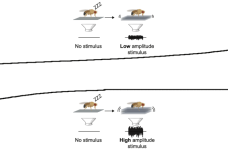 1679976443-8638-E7F2aDlRqkqxTEiaSJdnLPuBqLxw.png