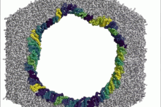 1685508364-6162-IK8mr2b1WkEfzOzVbZ2ubibxdG9Q.gif