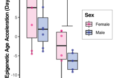 1691994748-2633-icdY8oia5B6zCIGkxicqQR1YUxYA.png