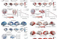 1694700649-2068-88TZStpicc1j27ia9x3KQic52wMQ.png