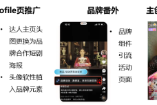 1718791795-7676-OPYsAjYQXIvD8lIN8OZX3FTuyC0Q.png