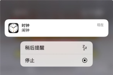 1754958454296-lj0my9.png