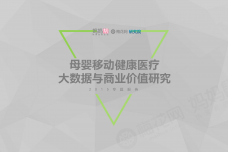 20151026_母婴移动健康大数据与商业价值研究_final_000001.png