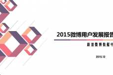 2015微博用户发展报告_000001.png