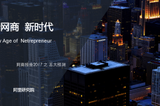 2017年网商报告之五大预测报告_000001.png
