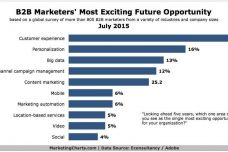 B2B-marketer.jpg