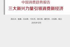 BCG_The_New_China_Playbook_Dec_2015_CHN_000001.png