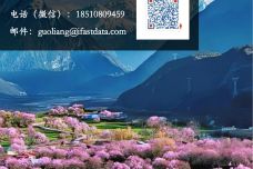 Fastdata极数2025中国民宿行业发展趋势报告43页_42.jpg