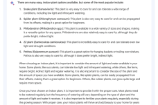 Image-1-Bard-Plant-_Mistake_-Ima.png