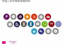 TNS新华信：2015年二手车电商行业调研报告_000001.png