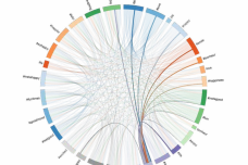 TON-keywordgraph-1200x1023.png