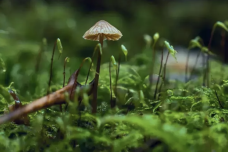 WX20231113-000604@2x.png