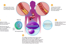 efe722fbd84a2f8.png