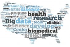 fy1420word20cloud.jpg