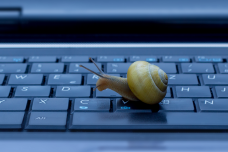 img-2.png