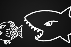 img.png