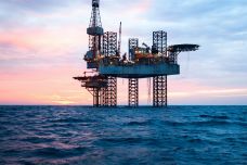 oil2012-scaled.jpeg