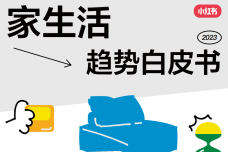 xiaohognshu.png