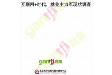 互联网-时代：就业主力军现状调查报告_000001.png