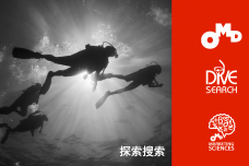 搜索调研白皮书_000001.png