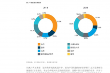 沉睡的巨人—中国消费者_000006.png