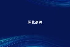 脉脉2024年度人才迁徙报告-2024年12月1_43-scaled.jpg