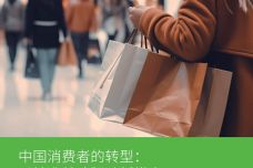 艾睿铂AlixPartners2025年中国消费者的转型以精准战略驱动新常态17页_00-1.jpg