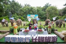 阿里旅行总裁李少华（左）与长隆集团总裁陈万成1.jpg